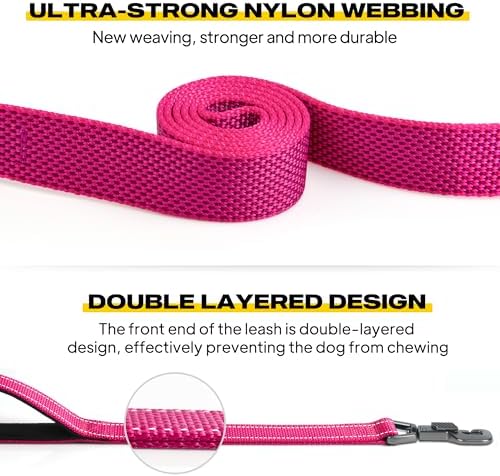 Fida Heavy Duty Dog Leash for Medium Large Dogs, 4 FT, Dual Padded Handles - Image 3