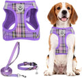PUPTECK Dog Harness, Collar and Leash Set No Pull by PUPTECK