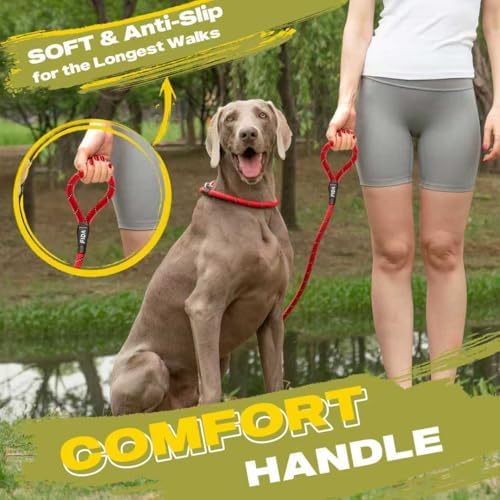 Fida Slip Lead Dog Leash 5 Pack, 6 FT x 1/2" Dog Training Leash - Image 6