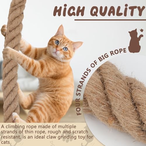 2" x9.8Ft Cat Climbing Rope - Image 3