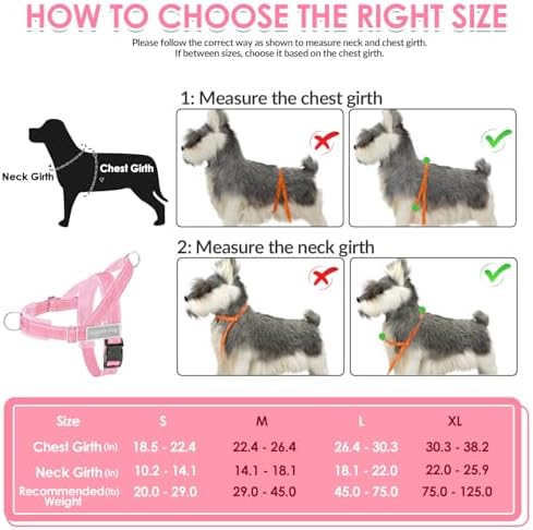 SlowTon No Pull Dog Harness and Leash Set - Image 6