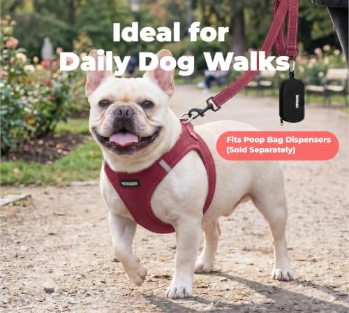 Best Pet Supplies Voyager Nylon Dog Leash - Image 3