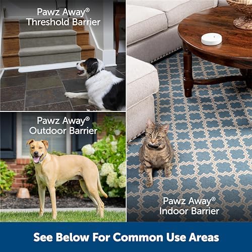 PetSafe Pawz Away Extra Indoor Pet Barrier Transmitter - Image 6