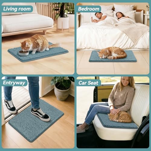 Bcoimo Super Absorbent Cat Door Mat - Image 6