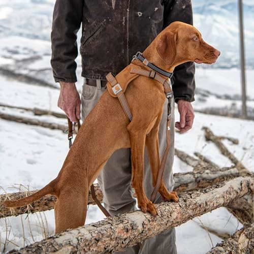 Carhartt Nylon Duck No Pull Dog Harness Carhartt Brown L - Image 5