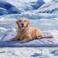 Dog Cooling Mat, Portable & Durable Cooling Mat by ASENKU