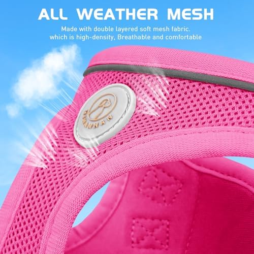 Soft Mesh Dog Harness and Leash Set, No Pull Puppy Harness and Leash Set - Image 5