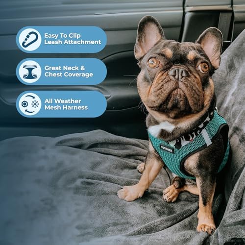 Voyager Step-in Air Dog Vest Harness - Image 3