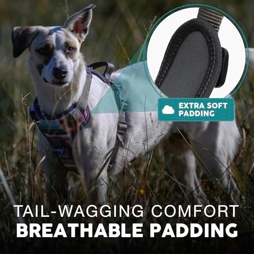 Embark No Pull Dog Harness, Reflective Adjustable Training Vest, No Choke - Image 4
