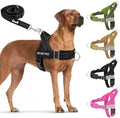 Lukovee No Pull Dog Harness and Leash Set, Soft Padded by Lukovee