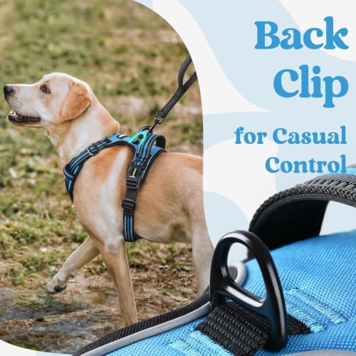 rabbitgoo Dog Harness Medium Sized, Updated Easy On & Off - Image 6