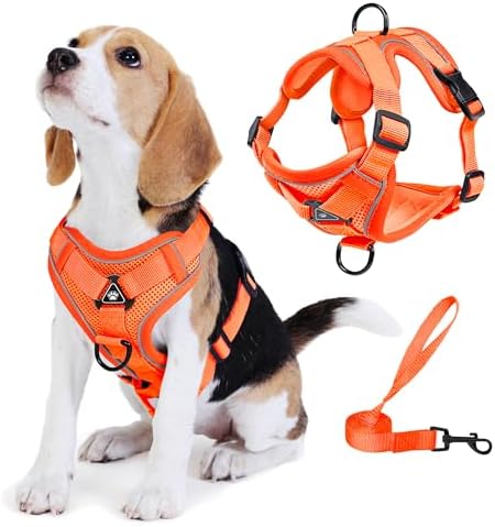 Dog Harness Small Sized Dog Pet Vest by Unknown