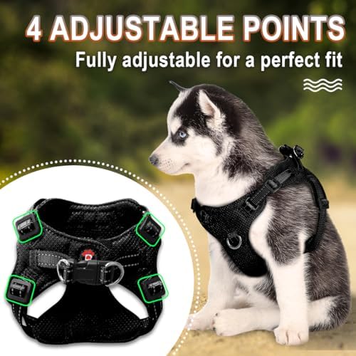 BARKBAY Small Dog Harness, No Pull Puppy Harness, Step-in Dog Vest - Image 3