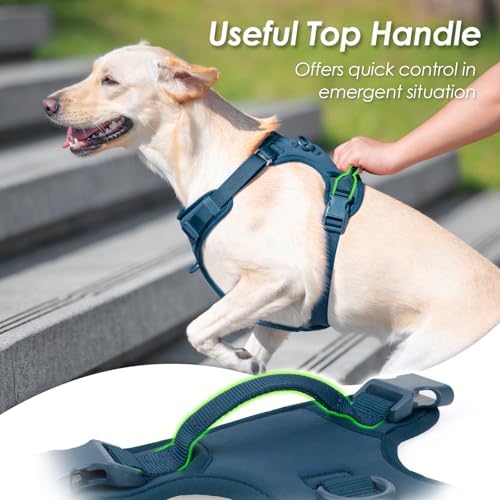 Sunraymascota No Pull Dog Harness - Image 4
