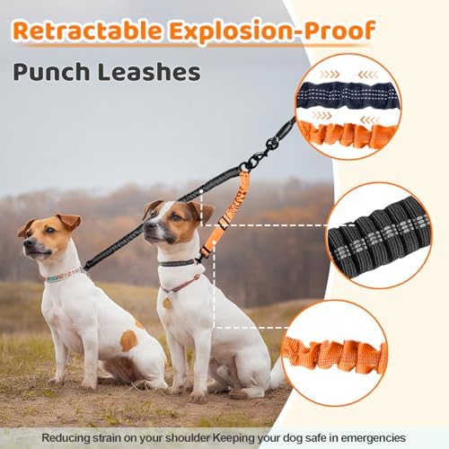 Double Dog Leash - Image 5
