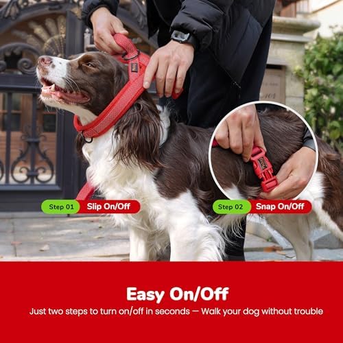 Didog No Pull Dog Harness for Small Dogs, Breathable Mesh Padded - Image 4