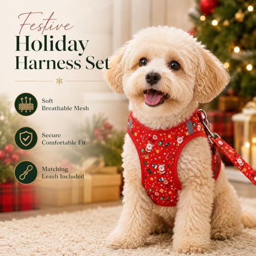 Step in Christmas Xmas Day Dog Harness Leash Set- All Weather Reflective - Image 5