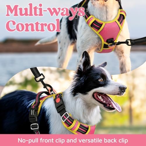rabbitgoo Dog Harness Small Sized, No Pull 3 Buckles Easy On & Off - Image 3