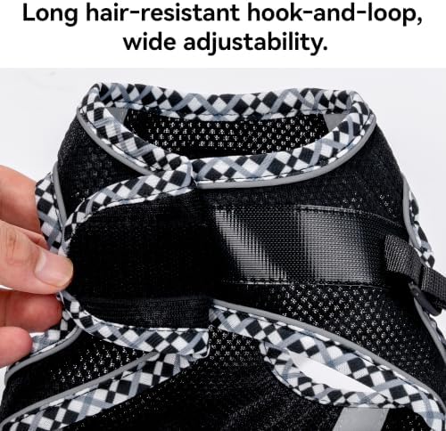 Petank Step in Dog Harness No Pull and Leash - Image 5