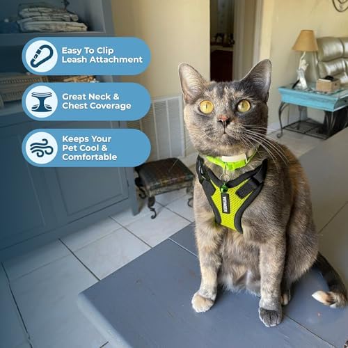 Voyager Step-in Lock Cat Harness & Leash Set - Image 5