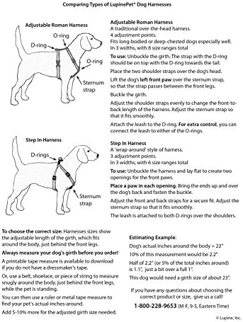 LupinePet Basics 3/4" Green 15-21" Step In Harness - Image 4