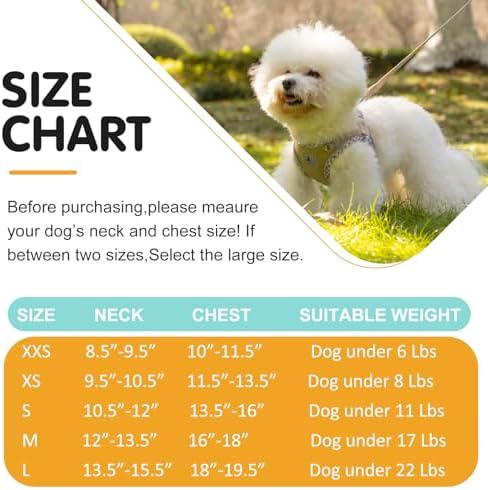 Dog Harness and Leash Set - Image 6