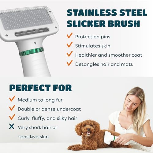 2-in-1 Dog Hair Dryer with Brush - Image 4