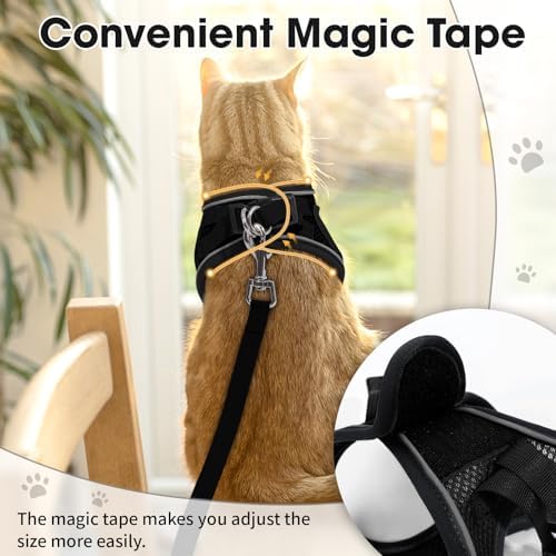 Cat Harness and Leash Set for Walking Escape Proof Vest for Kitten - Image 5