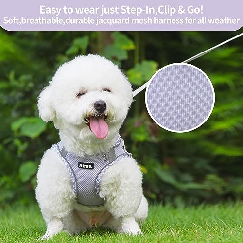 AIITLE Teacup Puppy Harness - Image 4