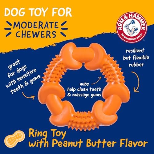 Arm & Hammer Nubbies Rubber Ring Dog Dental Chew Toy, Peanut Butter - Image 2
