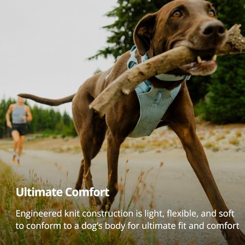 Ruffwear, Front Range Flex Dog Chest Harness, Basalt Gray, Large/X-Large - Image 3