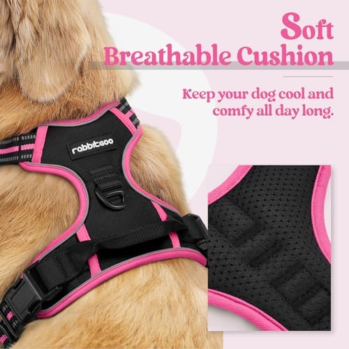 rabbitgoo Dog Harness, No Pull for Small Dogs - Image 2