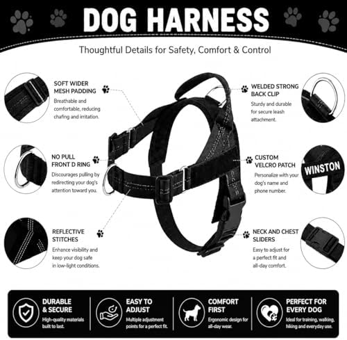 Adjustable Dog Harness No Pull - Image 3