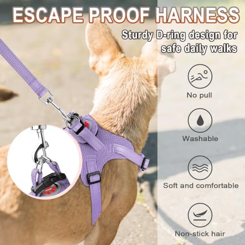 BARKBAY Small Dog Harness, No Pull Puppy Harness, Step-in Dog Vest - Image 4