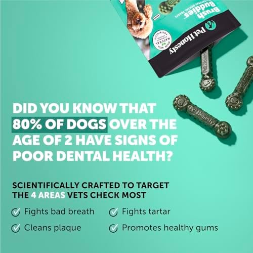 Pet Honesty Brush Buddies Vet Backed Dog Dental Chews - Image 2
