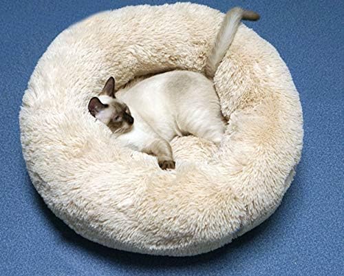 Cat Bed for Indoor Cats, Mini Plush Self Warming Kitten Bed, 20 Inch - Image 3