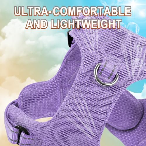 BARKBAY Small Dog Harness, No Pull Puppy Harness, Step-in Dog Vest - Image 2