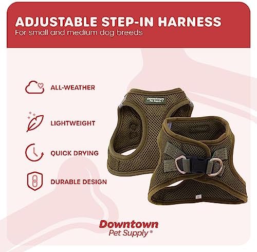 Downtown Pet Supply Step-in Dog Harness – No Pull, Adjustable Padded Mesh - Image 3