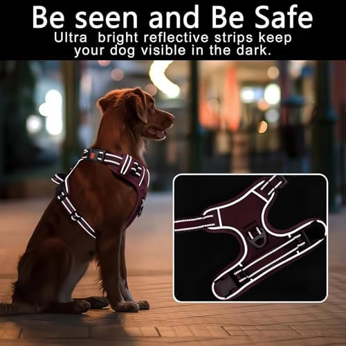 Timos Dog Harness Small Sized, Neck Quick Release - Image 3