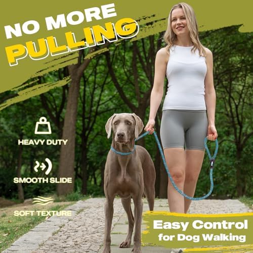 Fida Durable Slip Lead Dog Leash, 6 FT x 3/8" Dog Training Leash - Image 2