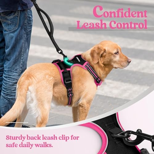 rabbitgoo Dog Harness, No Pull for Large Dogs - Image 6