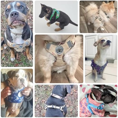 BEAUTYZOO Step in Dog Harness Collar and Leash Set - Image 3