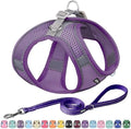 AIITLE Dog Harness and Leash Set, Step-in Puppy Pet Vest, Pure Purple XXS by AIITLE-FORPETSBETTERLIFE