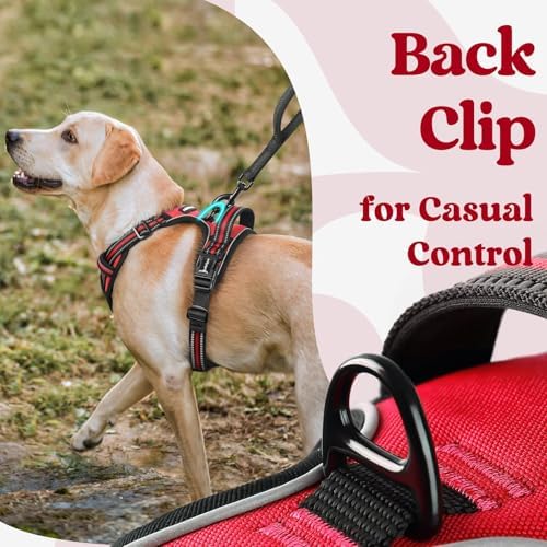 rabbitgoo Dog Harness Small Sized, Updated Easy On & Off - Image 6