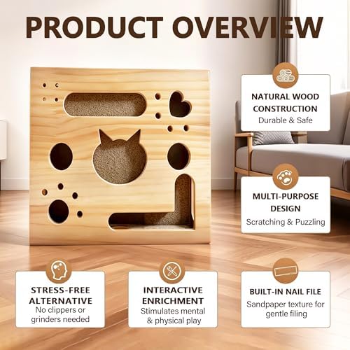 2026 New Model Cat Nail File Enrichment Box - Image 2