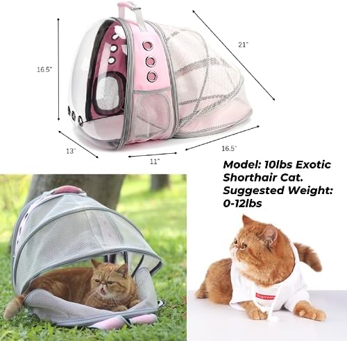Lollimeow Expandable Bubble Cat Carrier Backpack, Supports up to 14 lbs - Image 2