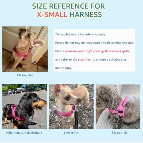 SlowTon No Pull Small Dog Harness and Leash Set - Image 6