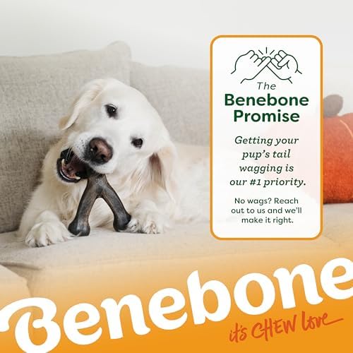 Benebone Wishbone Chew Toy for Aggressive Chewers, Pumpkin Spice - Image 7