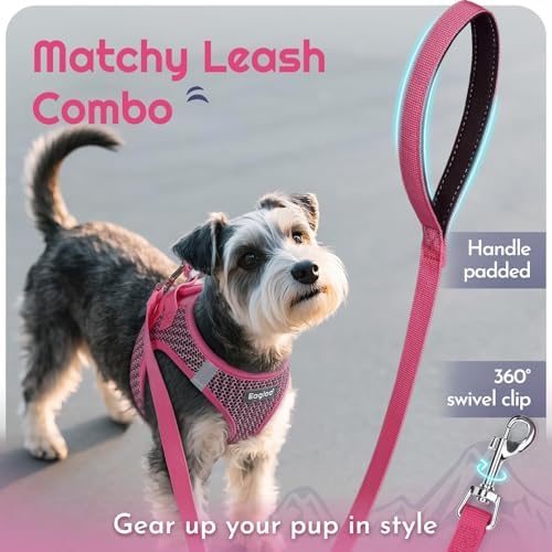 Eagloo Small Dog Harness and Leash Set, Step in Medium Small Puppy Pet Vest - Image 6