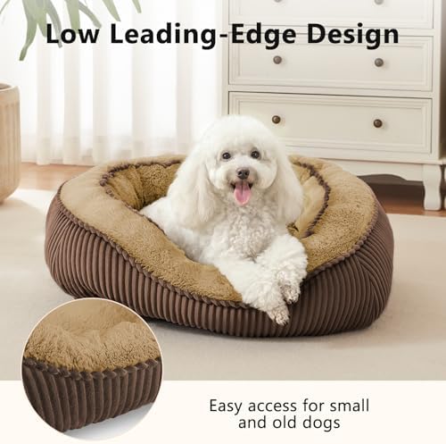 Washable Dog Bed Medium Size Dogs, Orthopedic Pet Bed - Image 4